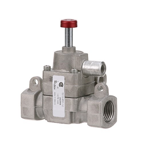 TS11K-4521-1-0 – SAFETY VALVE TS