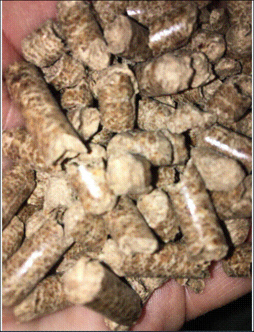 Wood pellets for oven Uuni 3 Stainless Steel Wood-Fired oven outdoor / camping