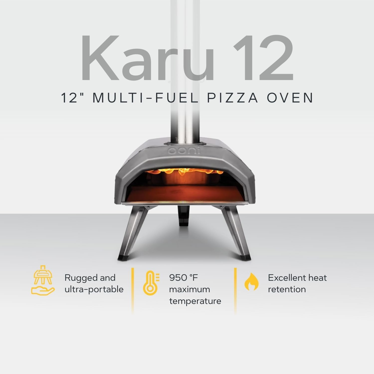 Versatile Wood/Propane Gas Pizza Oven – 12 Inch