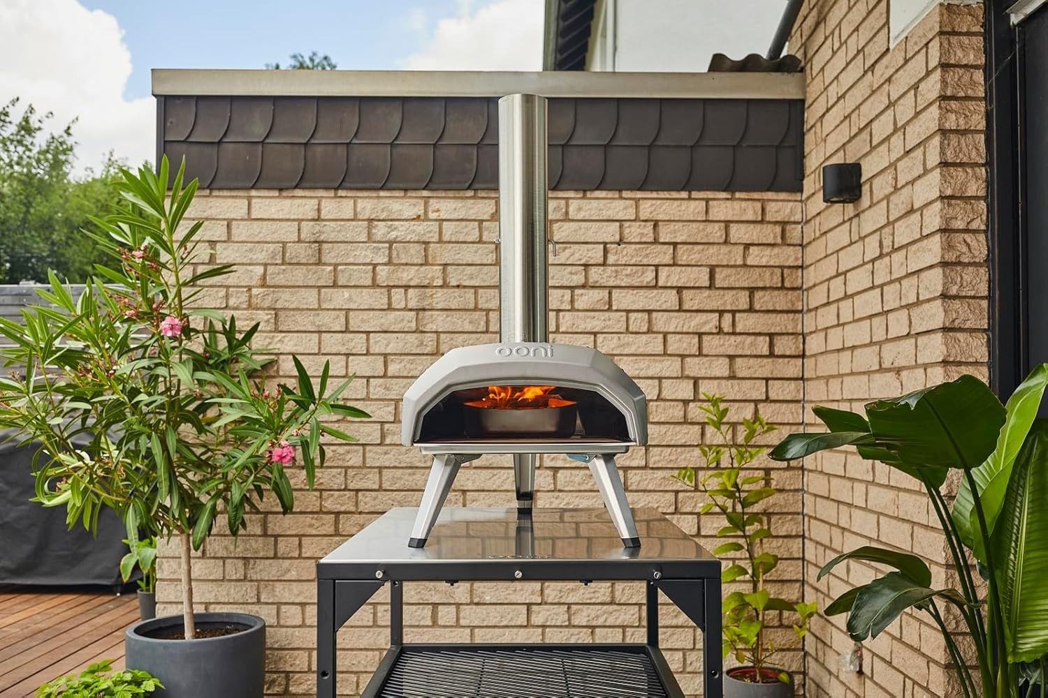 Versatile Wood/Propane Gas Pizza Oven – 12 Inch